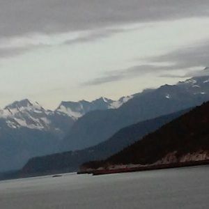 Meet your Posher, Ani